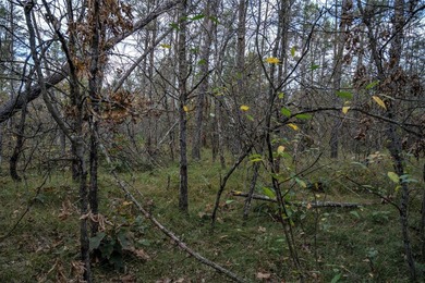 Two wooded and buildable lots in Castle Rock Estates subdivision - photo 27