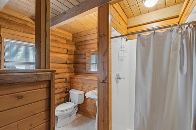 Welcome to your dream retreat on Lake Delton in the heart of - photo 27