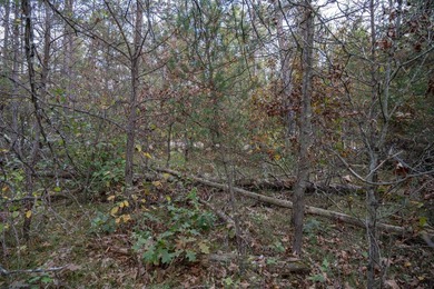 Two wooded and buildable lots in Castle Rock Estates subdivision - photo 28