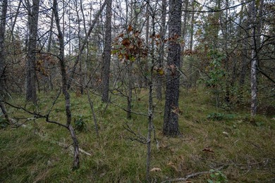 Two wooded and buildable lots in Castle Rock Estates subdivision - photo 29