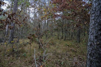 Two wooded and buildable lots in Castle Rock Estates subdivision - photo 30