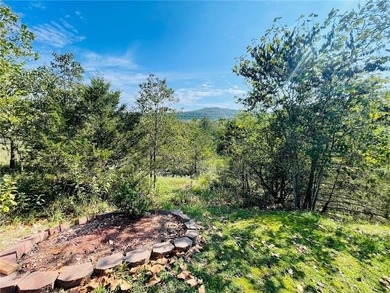 Enjoy beautiful Table Rock Lake with this very nice 3BR, 2 1/5 - photo 31
