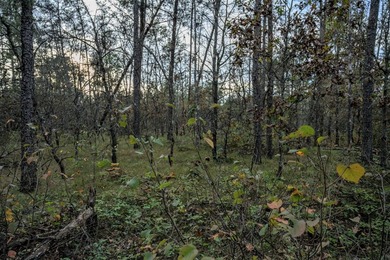 Two wooded and buildable lots in Castle Rock Estates subdivision - photo 31