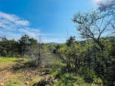 Enjoy beautiful Table Rock Lake with this very nice 3BR, 2 1/5 - photo 32