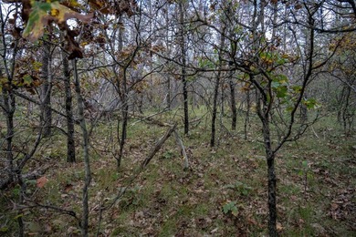 Two wooded and buildable lots in Castle Rock Estates subdivision - photo 32