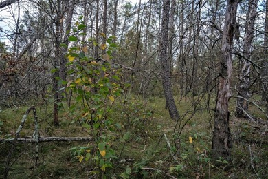 Two wooded and buildable lots in Castle Rock Estates subdivision - photo 33