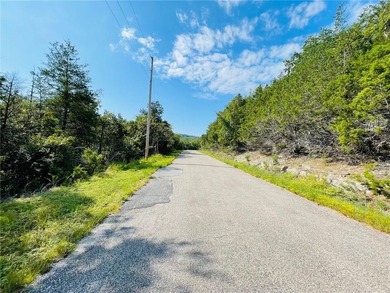 Enjoy beautiful Table Rock Lake with this very nice 3BR, 2 1/5 - photo 34