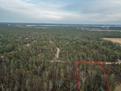 Two wooded and buildable lots in Castle Rock Estates subdivision - photo 35