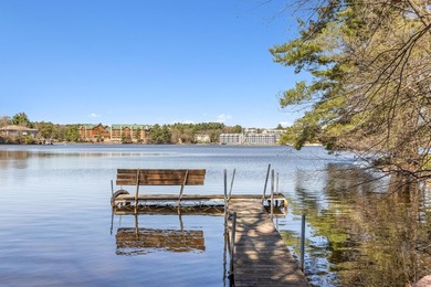 Welcome to your dream retreat on Lake Delton in the heart of - photo 49