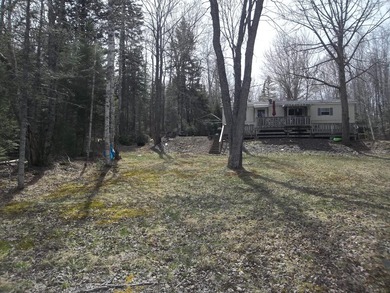 Price reduced until spring! A 12x40 mobile home with well & - photo 8