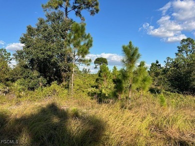 Lehigh Acres Area Lot For Sale in Lehigh Acres Florida