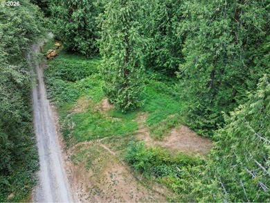 5 usable acres in Brush Prairie - flat, terraced, and ready to - photo 11