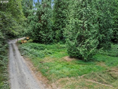 5 usable acres in Brush Prairie - flat, terraced, and ready to - photo 12