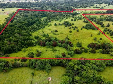 YOUR OWN SLICE OF HEAVEN! Two 30-Acre Tracts in the HIGHLY - photo 2