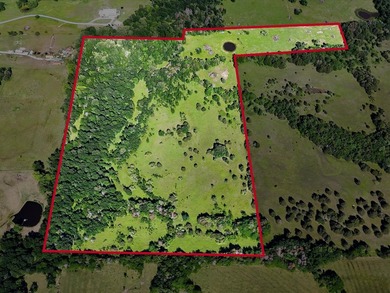 YOUR OWN SLICE OF HEAVEN! Two 30-Acre Tracts in the HIGHLY - photo 3