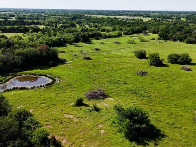YOUR OWN SLICE OF HEAVEN! Two 30-Acre Tracts in the HIGHLY - photo 4