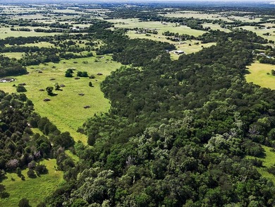 YOUR OWN SLICE OF HEAVEN! Two 30-Acre Tracts in the HIGHLY - photo 5