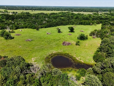 YOUR OWN SLICE OF HEAVEN! Two 30-Acre Tracts in the HIGHLY - photo 6
