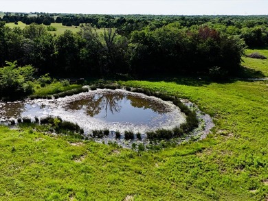 YOUR OWN SLICE OF HEAVEN! Two 30-Acre Tracts in the HIGHLY - photo 7