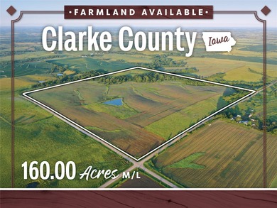 (private lake, pond, creek) Acreage For Sale in Osceola Iowa