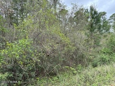 Up and coming area of New Hanover County. Nice, wooded tract of - photo 1