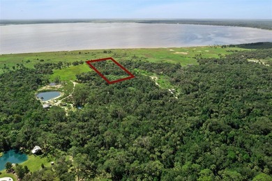 Discover the beauty of Old Florida with this unique 5.66-acre - photo 3