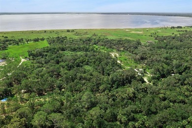 Discover the beauty of Old Florida with this unique 5.66-acre - photo 4
