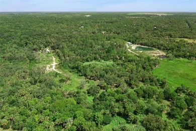 Discover the beauty of Old Florida with this unique 5.66-acre - photo 5