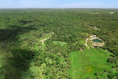 Discover the beauty of Old Florida with this unique 5.66-acre - photo 6