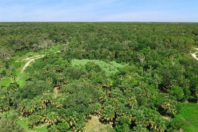 Discover the beauty of Old Florida with this unique 5.66-acre - photo 8