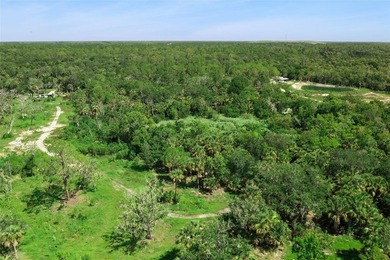 Discover the beauty of Old Florida with this unique 5.66-acre - photo 9