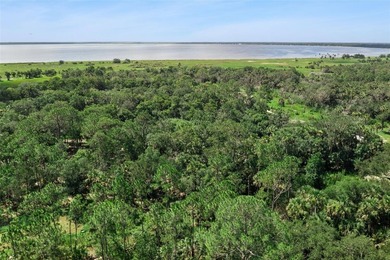 Discover the beauty of Old Florida with this unique 5.66-acre - photo 10