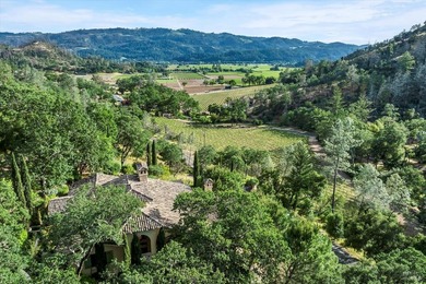 120 Acre Napa Valley gated estate with antique Italian tile roof - photo 2