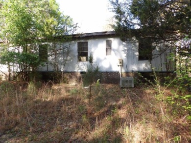 Lake Home For Sale in Box Springs, Georgia
