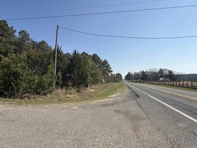 Prime highway frontage. No zoning. Unlimited potential - photo 12
