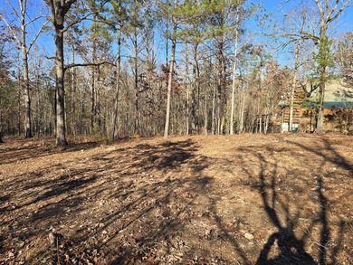 Owner will consider Financing Waterfront lot in cove - qualifies - photo 12