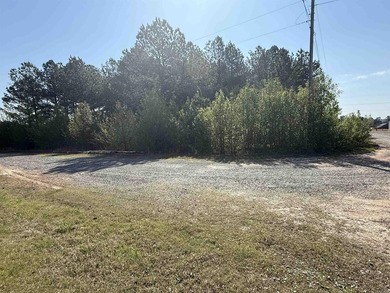 Prime highway frontage. No zoning. Unlimited potential - photo 15