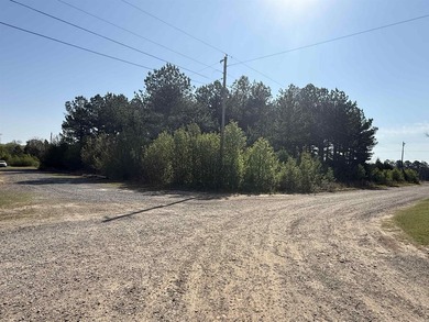Prime highway frontage. No zoning. Unlimited potential - photo 16