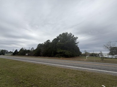 Prime highway frontage. No zoning. Unlimited potential - photo 20