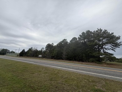 Prime highway frontage. No zoning. Unlimited potential - photo 21