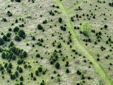 1,000 Acres | Premier Recreational & Investment Tract - photo 21