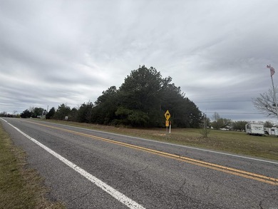 Prime highway frontage. No zoning. Unlimited potential - photo 22