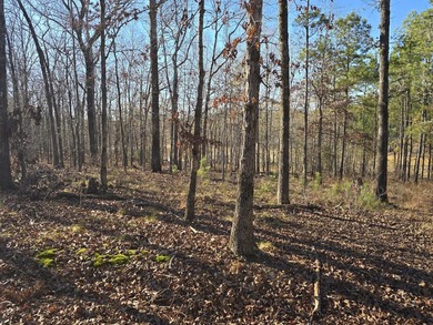 Owner will consider Financing Waterfront lot in cove - qualifies - photo 22