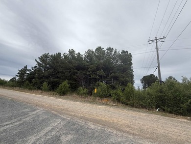 Prime highway frontage. No zoning. Unlimited potential - photo 23