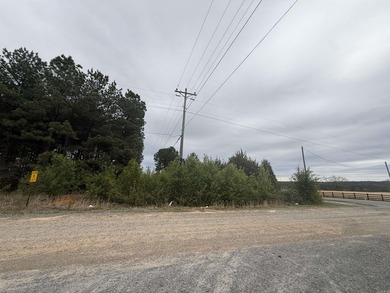 Prime highway frontage. No zoning. Unlimited potential - photo 25