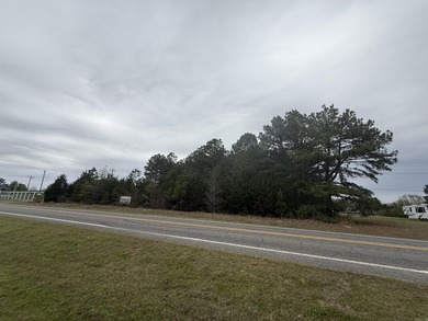 Prime highway frontage. No zoning. Unlimited potential - photo 27