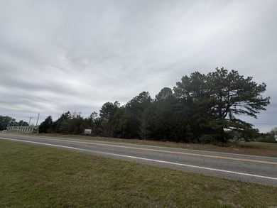 Prime highway frontage. No zoning. Unlimited potential - photo 28