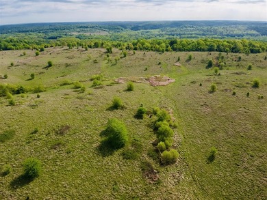1,000 Acres | Premier Recreational & Investment Tract - photo 29
