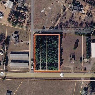 Prime highway frontage. No zoning. Unlimited potential - photo 30