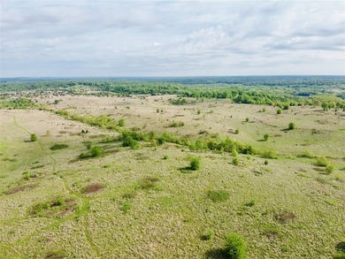 1,000 Acres | Premier Recreational & Investment Tract - photo 30